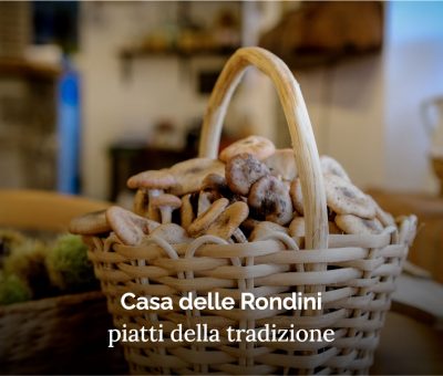 carosello-rondini-piatti